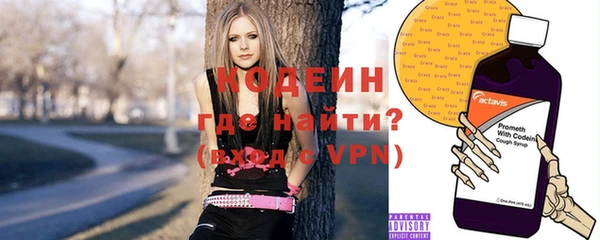 хмурый Аркадак