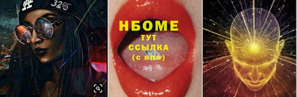 хмурый Аркадак