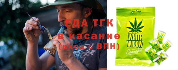 хмурый Аркадак