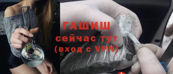 хмурый Аркадак
