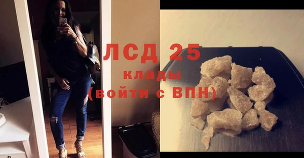 хмурый Аркадак