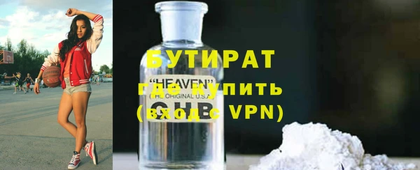 хмурый Аркадак