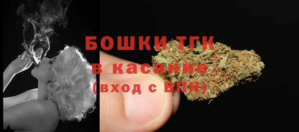 хмурый Аркадак