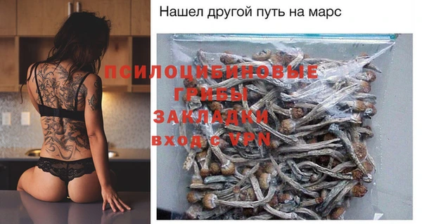 индика Армянск