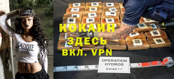 хмурый Аркадак