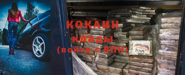 хмурый Аркадак