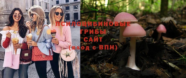 apvp Арсеньев