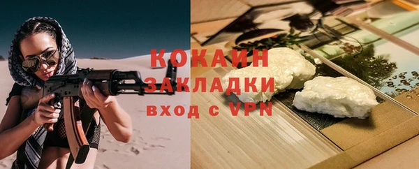 хмурый Аркадак