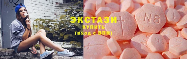 хмурый Аркадак