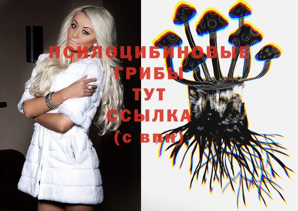 apvp Арсеньев