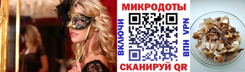 ОМГ ОМГ вход  Армянск  Псилоцибиновые грибы Psilocybine cubensis 